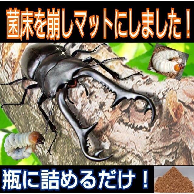 クワガタ幼虫の餌 改良版 菌床粉砕マット【5袋】瓶に詰めるだけ