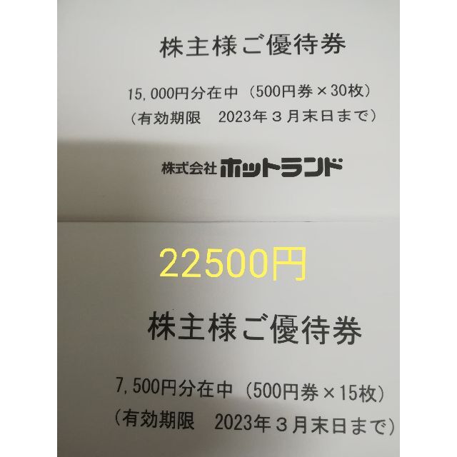 未開封 ホットランド 株主優待券 22500円分 銀だこ レビュー高評価の