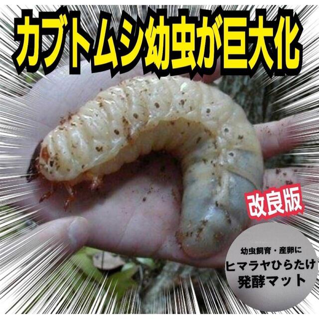 カブトムシ幼虫が大きくなる!発酵マット【60リットル】保存に便利な