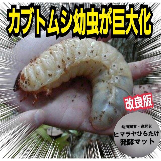 カブトムシ幼虫が大きくなる！発酵マット【50リットル】保存に便利なチャック付き袋