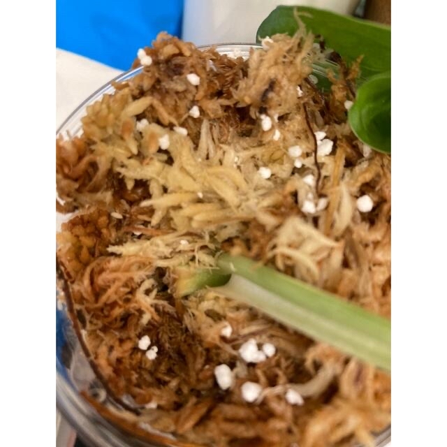 ご確認お願い致します 1