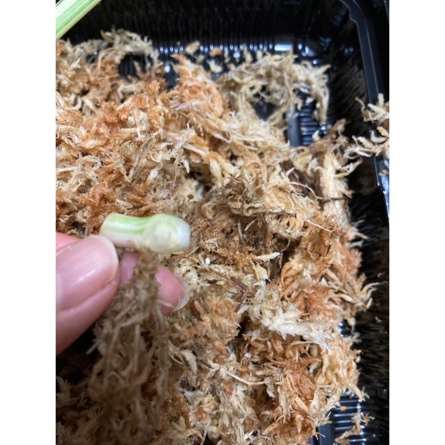 ご確認お願い致します 2