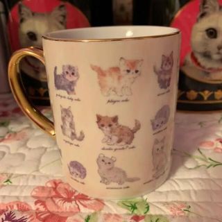 franche lippee - フランシュリッペ ねこ図鑑柄 マグカップの通販 by
