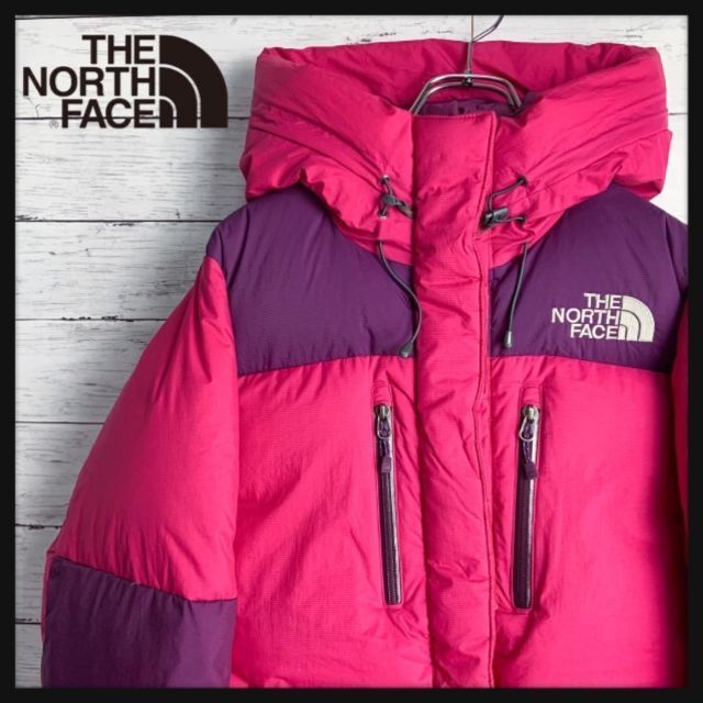 THE NORTH FACE - 【最高級800フィル】ノースフェイス バルトロライト