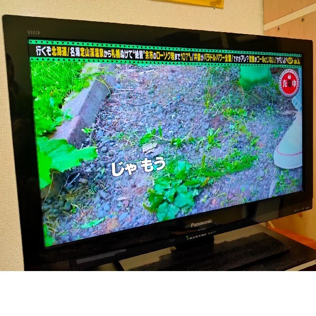 Panasonic VIERA 24V型テレビ TH-L24C3