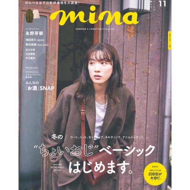 NEWS(ニュース)のAAA様　mina11月号マスタイリング エンタメ/ホビーのコレクション(印刷物)の商品写真