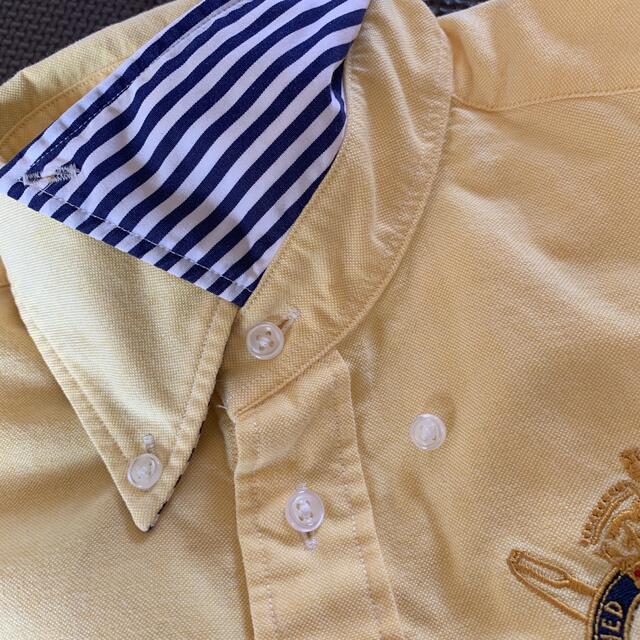 POLO RALPH LAUREN(ポロラルフローレン)のラルフローレン　長袖シャツ　 レディースのトップス(シャツ/ブラウス(長袖/七分))の商品写真