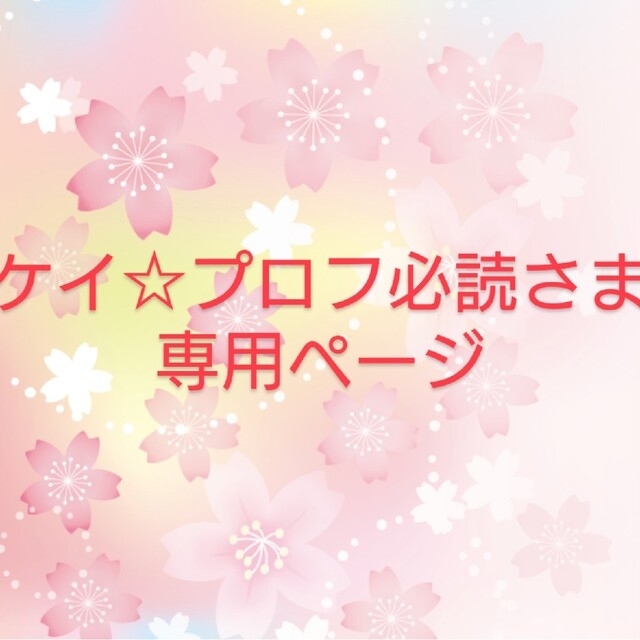 mikihouse(ミキハウス)の【ケイ☆プロフ必読さま専用】ミキハウス　ウィンドブレーカー　サイズ100 キッズ/ベビー/マタニティのキッズ服男の子用(90cm~)(ジャケット/上着)の商品写真