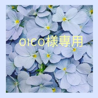 oico様専用(その他)