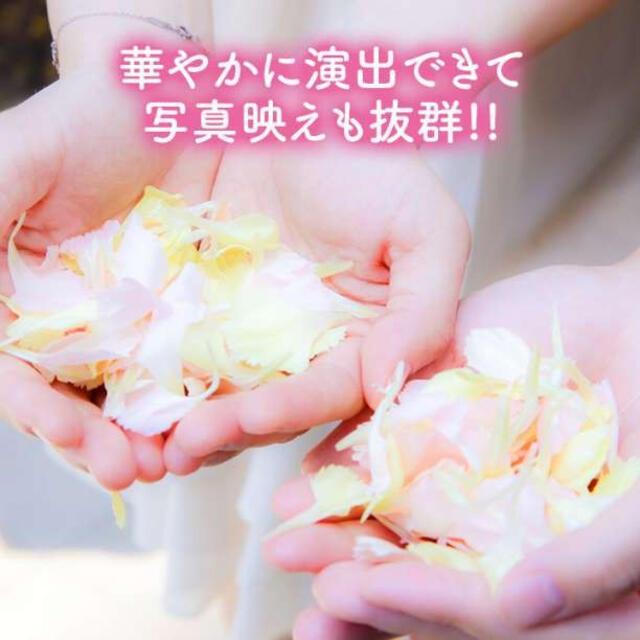 4色セット フラワーシャワー 1000枚 花びら 造花 バラ ブライダル 結婚