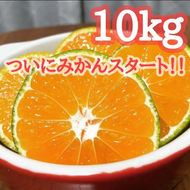 《訳あり》極早生みかん　10kg