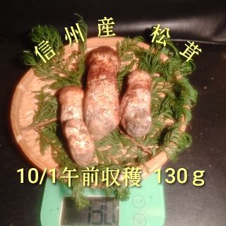 クール便対応 信州産 松茸 つぼみ 10/1午前収穫 130ｇ 4本入(野菜)