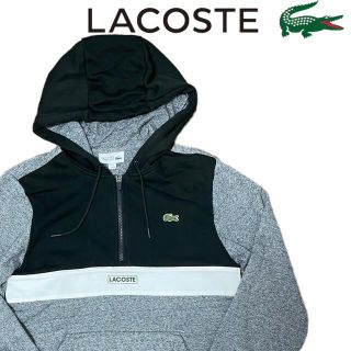 ラコステ(LACOSTE)の【希少】【ユニセックス】ラコステ　ハーフジップ　刺繍ロゴ　パーカー　男女兼用(パーカー)