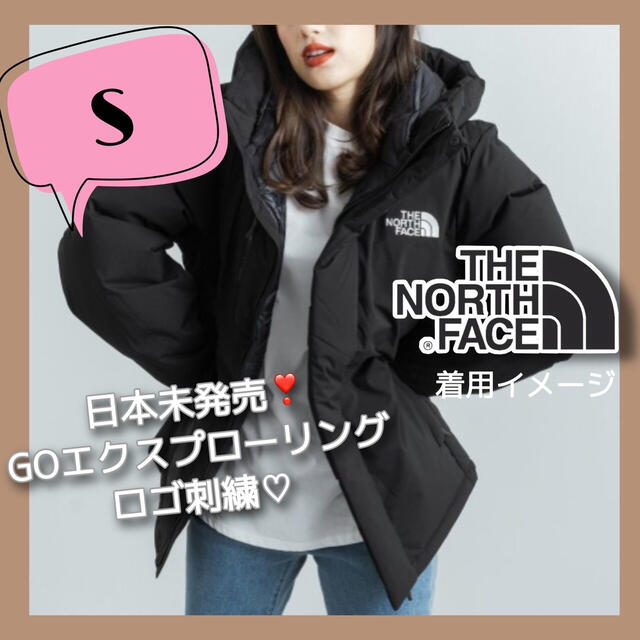 The north face ザノースフェイス 雪•雨対応雨ウェア日本未入荷