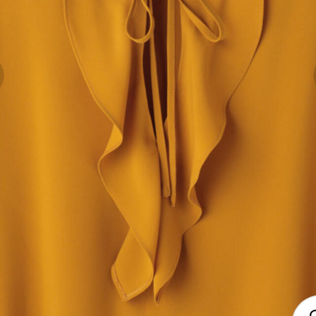 tiara(ティアラ)の【Tiara】バックフリル金魚袖ブラウス（マスタード） レディースのトップス(シャツ/ブラウス(半袖/袖なし))の商品写真