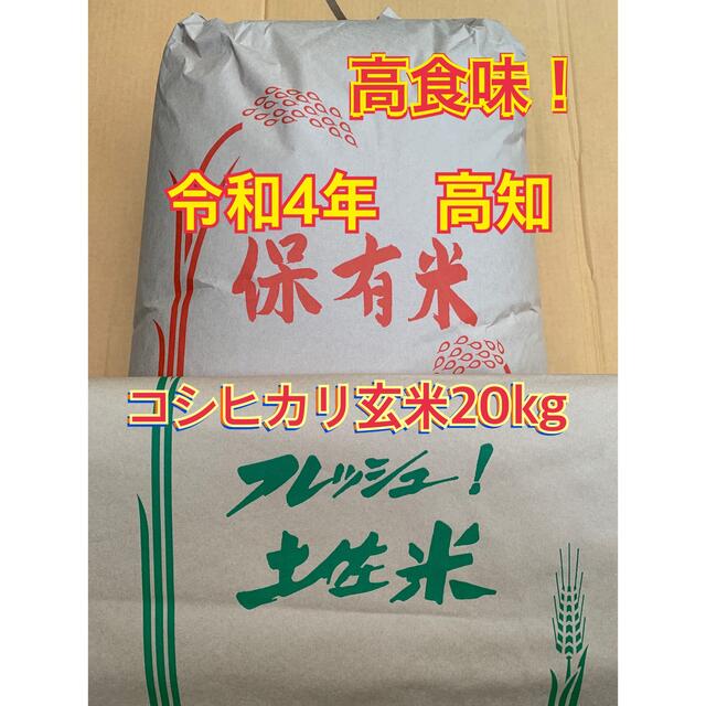 令和4年 新米 コシヒカリ 20kg 玄米