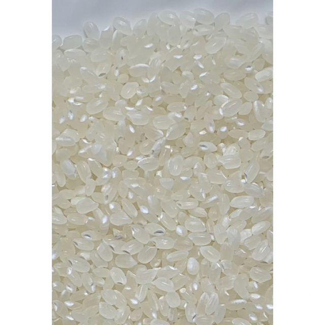 令和3年新米 高食味 低農薬栽培高知コシヒカリ玄米25kg