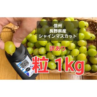 糖度抜群！【訳あり】シャインマスカット 粒1kg(フルーツ)