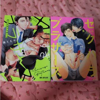 ｢ヤリすぎブラザーズ｣「セクハラブラザ－ズ」魚ともみ　２冊セット(ボーイズラブ(BL))