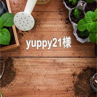 yuppy21様　専用　5セット(各種パーツ)