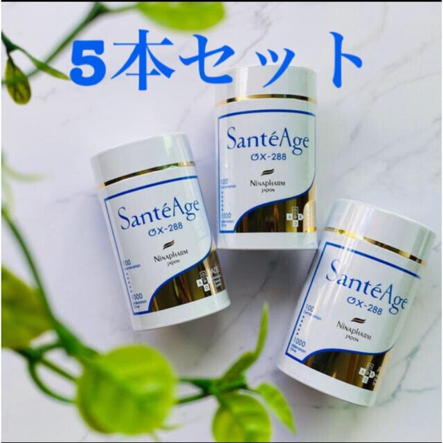 ニナファーム⭐️サンテアージュ5本セット食品/飲料/酒