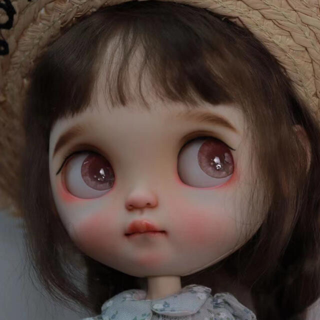 定番人気! カスタムネオブライス 作家様