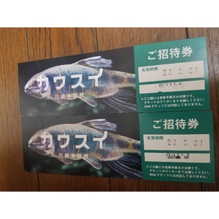 川崎水族館　チケット2枚　2名分(水族館)
