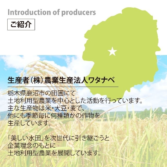 令和4年産20kg『新米*とちぎの星』*無洗米*大嘗祭献上米20kg産地