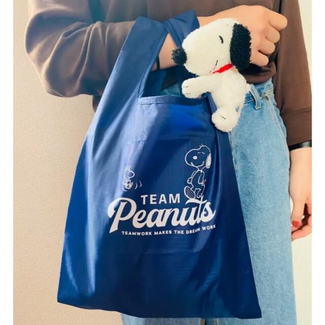 PEANUTS(ピーナッツ)の新品 スヌーピー  チャーリーブラウン ぬいぐるみ パスケース エコバッグ エンタメ/ホビーのおもちゃ/ぬいぐるみ(キャラクターグッズ)の商品写真