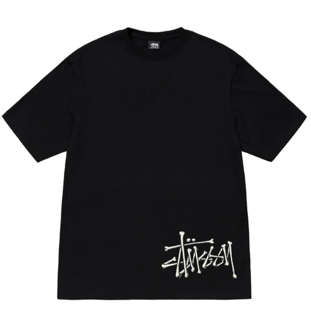 STUSSY(ステューシー)のSTUSSY  ストゥーシー　Tシャツ　新品 メンズのトップス(Tシャツ/カットソー(半袖/袖なし))の商品写真