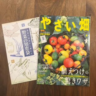 やさい畑　2015 春号　特別付録付き(専門誌)