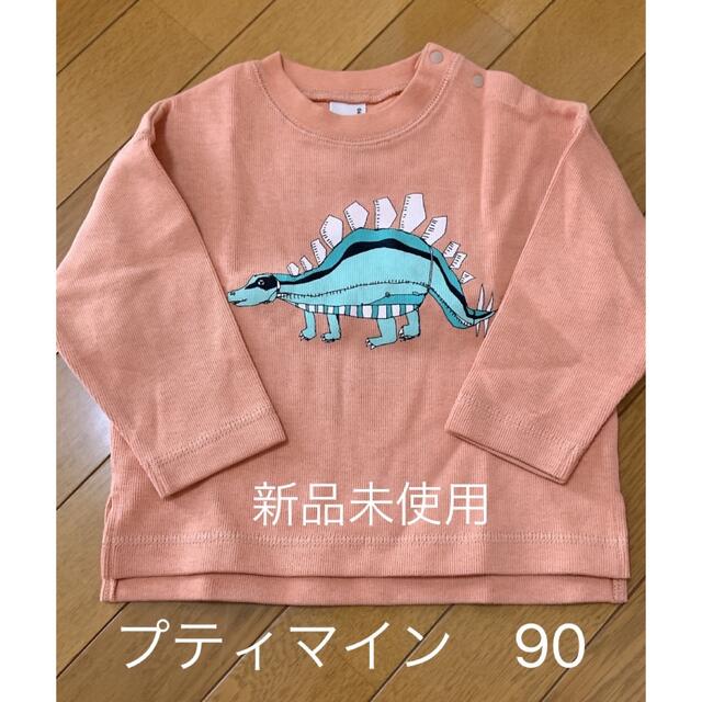 最適な材料 プティマイン トレーナー 恐竜 100 drenriquejmariani.com