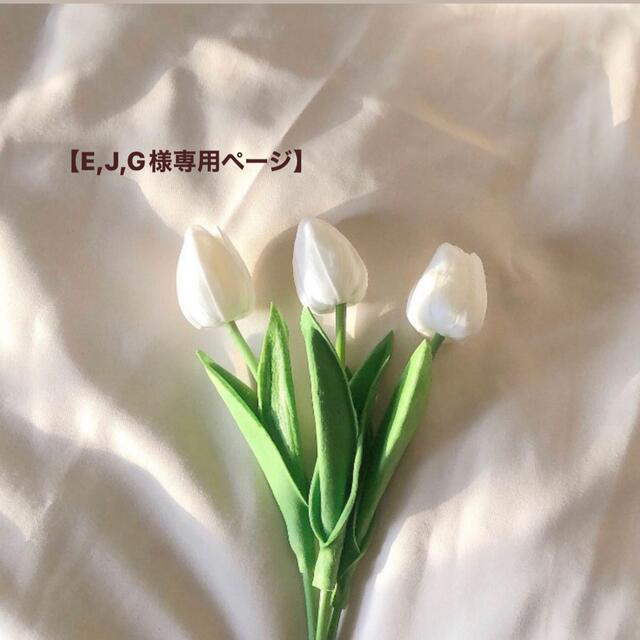 E,J,G様 専用ページ】 - funespar.org