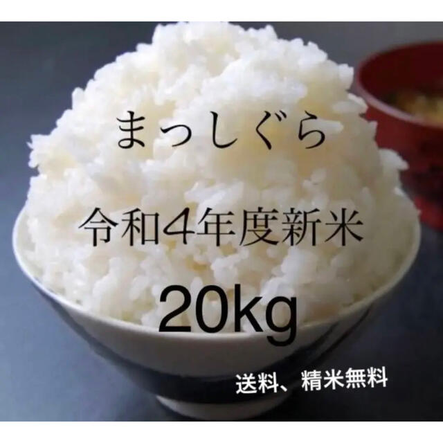 【令和4年度新品　訳あり】まっしぐら　青森米　20kg 精米無料 食品/飲料/酒の食品(米/穀物)の商品写真