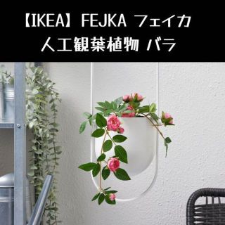 イケア(IKEA)の【IKEA】FEJKA フェイカ 人工観葉植物 バラ(置物)