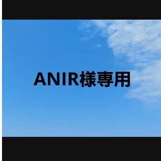 ANIR様専用(衣装一式)