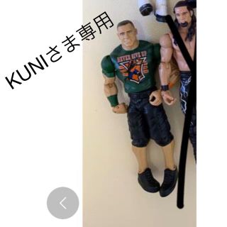 KUNIさま専用　WWEフィギア(キャラクターグッズ)