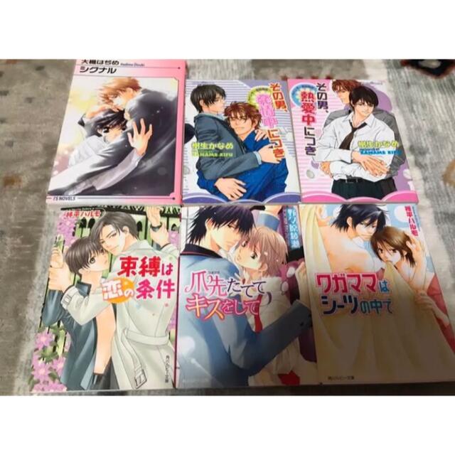 BL本 漫画 マンガ まんが 小説 ノベル 36冊セット 大量 まとめ売り