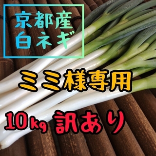 【ミミ様専用】【訳あり】京都産　白ネギ　長ネギ　新鮮（10キロ）(野菜)