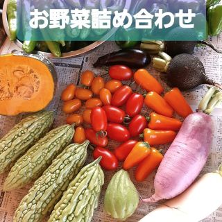 ☆お野菜詰め合わせ☆ 今朝採り お野菜セット ゆうパック 80サイズ(野菜)