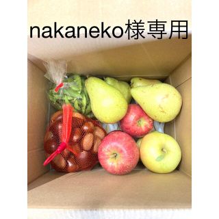 野菜/果物(専用)(フルーツ)