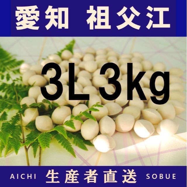 2022年新物　生産者直送 久寿 ぎんなん 祖父江産 銀杏 3L 3kg 食品/飲料/酒の食品(野菜)の商品写真