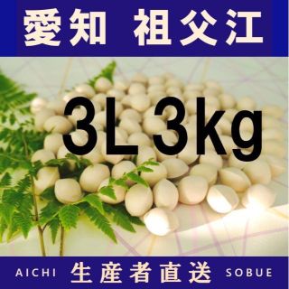 2022年新物　生産者直送 久寿 ぎんなん 祖父江産 銀杏 3L 3kg(野菜)