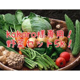 kokoro様専用！ 野菜セット5k！(野菜)