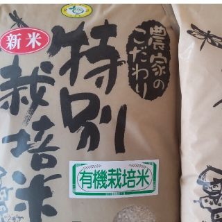 令和4年 千葉県産 有機栽培コシヒカリ（ちばエコ米） 精米20kg(その他)