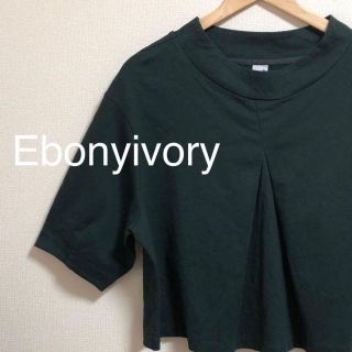 エボニーアイボリー(Ebonyivory)のエボニーアイボリー　美品　高見え　ショート丈　5分袖　トップス　ダークグリーン(カットソー(半袖/袖なし))