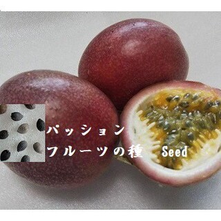 N102 パッションフルーツの種30粒 果物たね トケイソウ種子 熱帯果樹タネ(フルーツ)