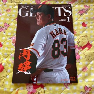 月刊 GIANTS (ジャイアンツ) 2019年 01月号(趣味/スポーツ)