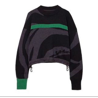 サカイ(sacai)のsacai ゼブラ柄 ショート丈ニット セーター (ニット/セーター)