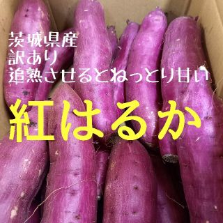 24㌔茨城紅はるかご家庭用S(2Sメインで通常S&3S混載)&訳あり品甘熟蜜芋(野菜)